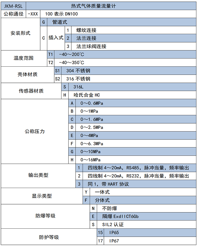 DN100熱式氣體質(zhì)量流量計選項表